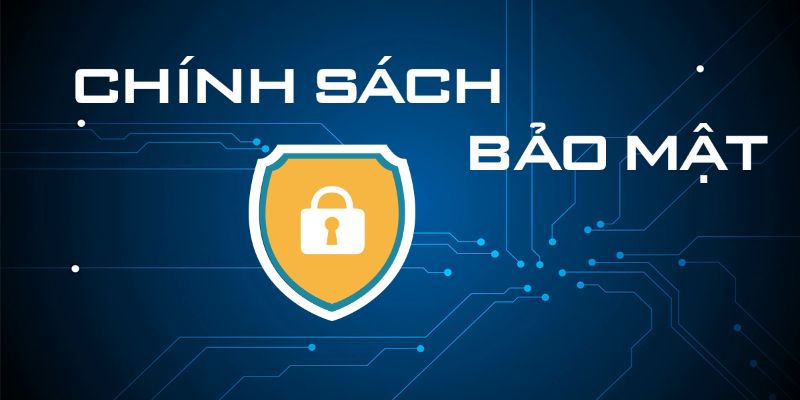 Chính sách Bảo mật tại scaleupcity.io - An Toàn Dữ Liệu Hội Viên Là Ưu Tiên 2 chinh sach bao mat k8cc 1