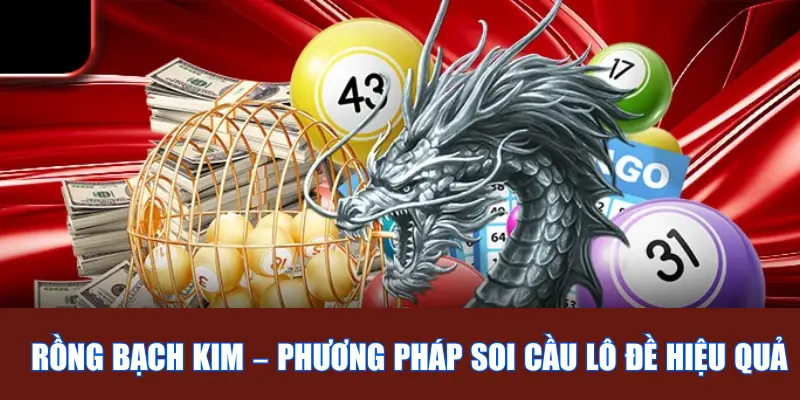 soi cau rong bach kim 67db59ad59f44